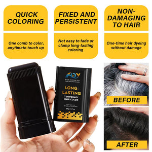 ALDY 10 in 1 Natural Ingredients Disposable Hair Color Stick - 20ml single - ALDY Care Shop